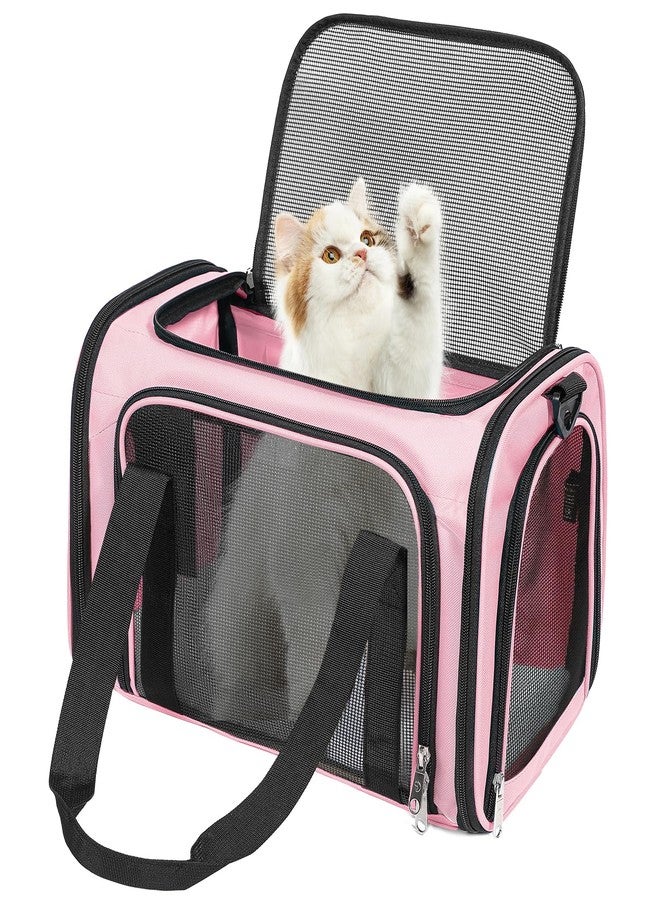Discala Cat Dog Carrier Up to 15 Lbs TSA Airline Approved Pet Carrier for Small Medium Cats Puppies Dog Carriers for Small Dogs Collapsible Soft Sided Cat Travel Carrier - Pink 15.7"x10.2"x10.2" - Image 1